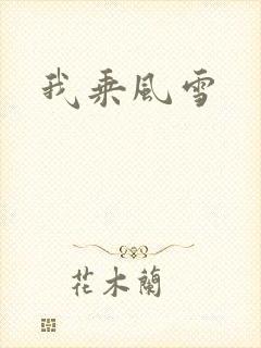我乘风雪