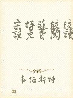 宋持苏皎皎的小说免费阅读