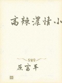 高辣浓情小说