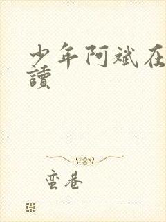 少年阿斌在线阅读