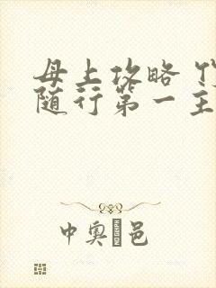 母上攻略 竹影随行第一主板