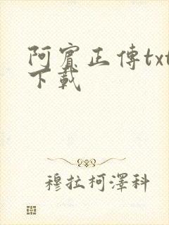 阿宾正传txt下载