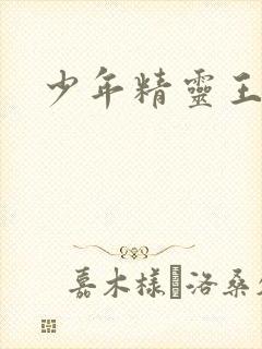 少年精灵王