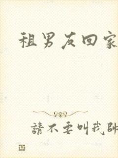 租男友回家过年