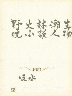 野火林潮生林晚晚小说人物野火