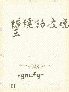 缠绕的夜晚双男主