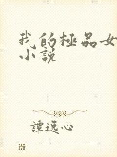 我的极品女老师小说