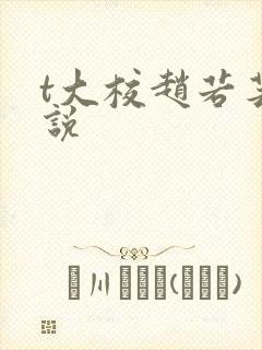 t大校赵若芸小说