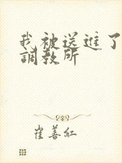 我被送进了私奴调教所