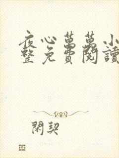 夜心万万小说完整免费阅读全文