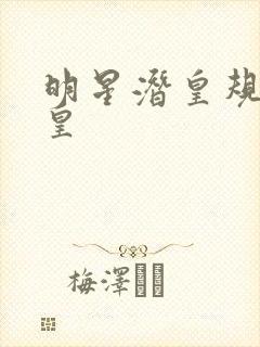 明星潜皇规则之皇