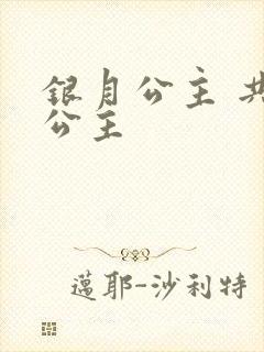 银月公主 共享公主