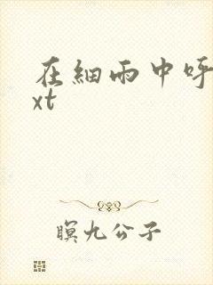 在细雨中呼喊txt