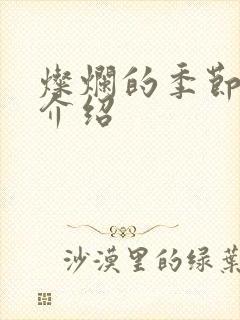 灿烂的季节剧情介绍