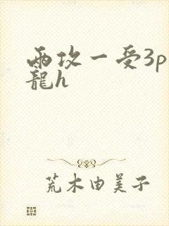 两攻一受3p双龙h