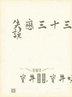 失恋三十三天小说