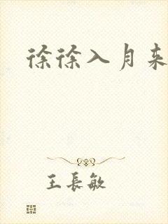 徐徐入月来