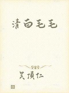 清白毛毛