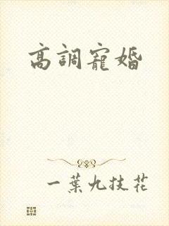 高调宠婚