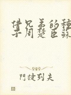 借兄弟的种生孩子周楚臣苏糖