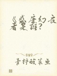 《盛唐幻夜》作者是谁?