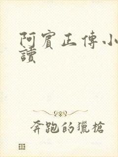 阿宾正传小说在读