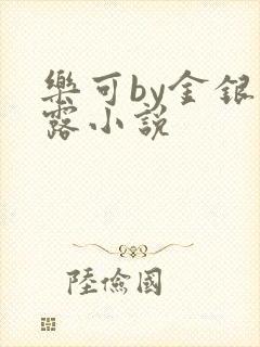 乐可by金银花露小说