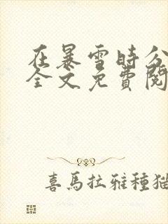 在暴雪时分小说全文免费阅读