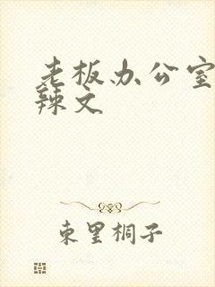 老板办公室系列辣文