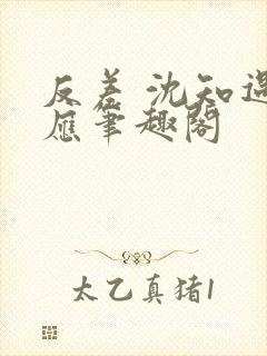 反差 沈知遇晏应笔趣阁