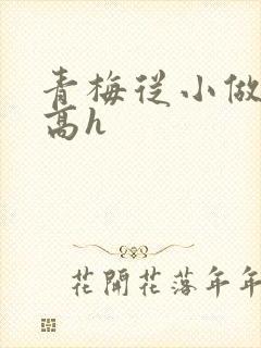 青梅从小做到大高h