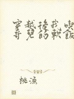 穿越后我吃到了哥儿的软饭炉山灰