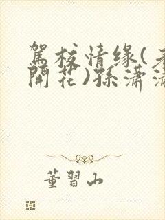 驾校情缘(老树开花)孙潇潇第一次趣笔阁