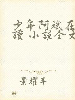 少年阿斌在线阅读 小说全文免费