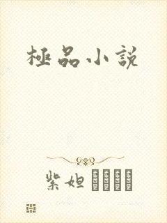 极品小说