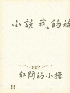 小说 我的娇妻