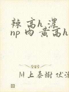 辣 高h 浓 np 肉 黄高h