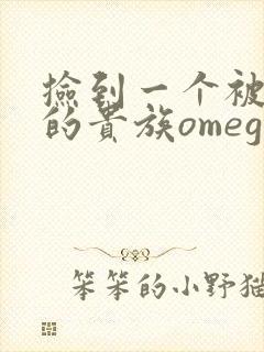 捡到一个被抹布的贵族omega