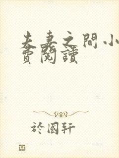 夫妻之间小说免费阅读