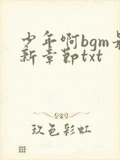 少年啊bgm最新章节txt