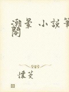 潮晕 小说笔趣阁