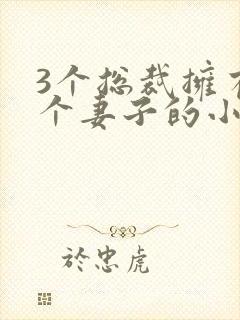 3个总裁拥有一个妻子的小说