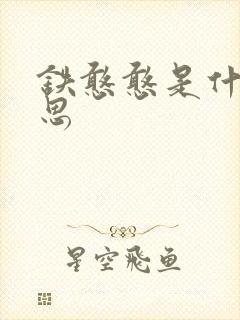 铁憨憨是什么意思