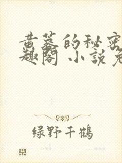 黄蓉的秘密 笔趣阁 小说免费阅读