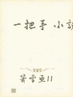 一把手 小说