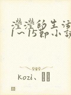 滢滢的生活日记1～15节小说