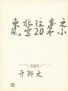 东北往事之黑道风云20年小说