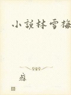 小说林雪梅