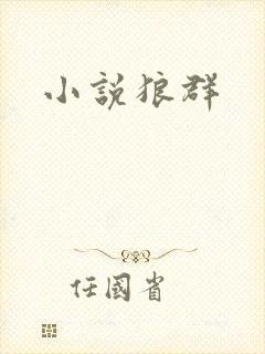小说狼群