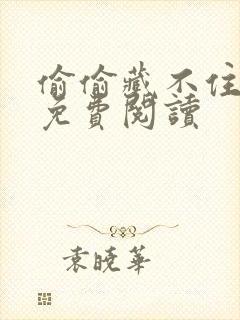 偷偷藏不住小说免费阅读